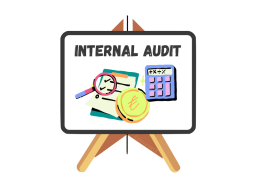 Copertina dell'articolo sull'internal audit